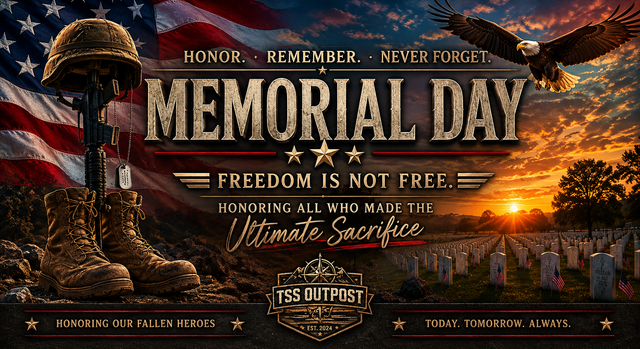 Memorial Day tribute artwork featuring a battlefield cross, American flag, bald eagle, military cemetery at sunset, and the message “Freedom Is Not Free” honoring fallen service members.